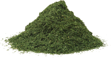 912_6c592efb26174157ae299f698d3ae871